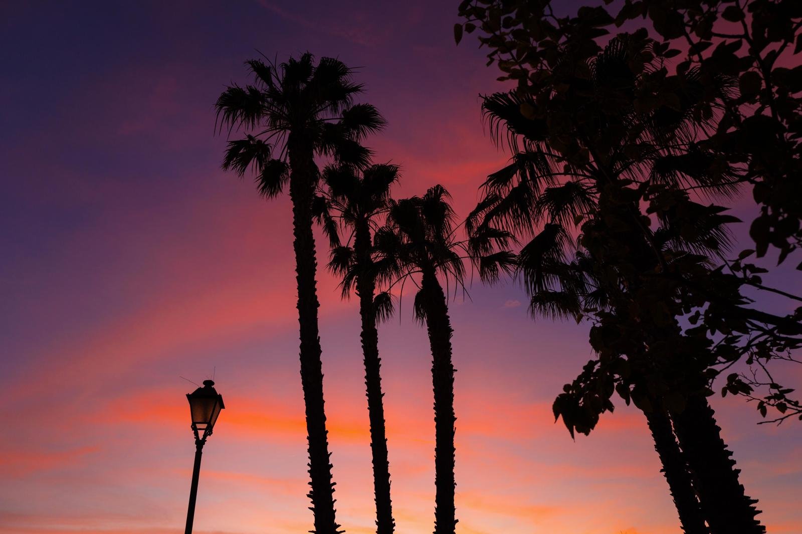 Imagen de WhatsApp 2025-07-17 a las 13.55.39_67393a81